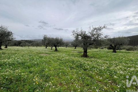 Helårsgrund i Penela, Coimbra, Penela - € 30.000 | Ref: 134198 - foto 4