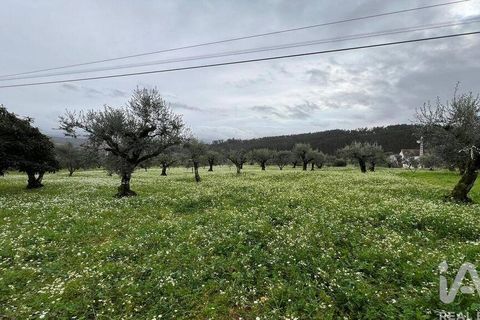 Helårsgrund i Penela, Coimbra, Penela - € 30.000 | Ref: 134198 - foto 5