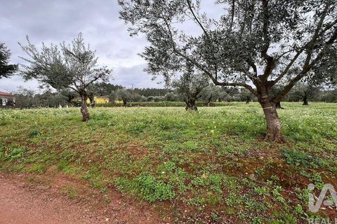 Helårsgrund i Penela, Coimbra, Penela - € 30.000 | Ref: 134198 - foto 6