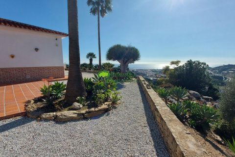 Herregård i Torrox, Malaga, Torrox - € 670 000 | Ref: 7879 - foto 43