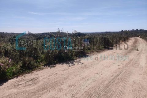 Helårsgrund i Sagres, Faro, Sagres - € 69.000 | Ref: CP-T2312 - foto 8