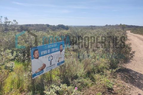 Helårsgrund i Sagres, Faro, Sagres - € 69.000 | Ref: CP-T2312 - foto 10