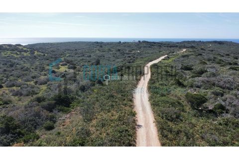 Helårsgrund i Sagres, Faro, Sagres - € 69.000 | Ref: CP-T2312 - foto 12