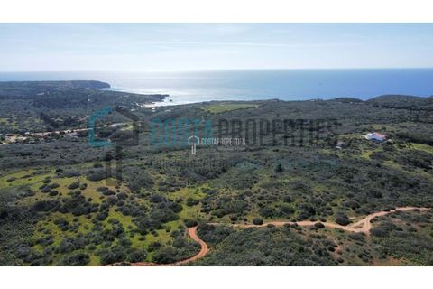 Helårsgrund i Sagres, Faro, Sagres - € 69.000 | Ref: CP-T2312 - foto 13