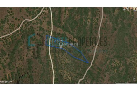 Helårsgrund i Sagres, Faro, Sagres - € 69.000 | Ref: CP-T2312 - foto 14