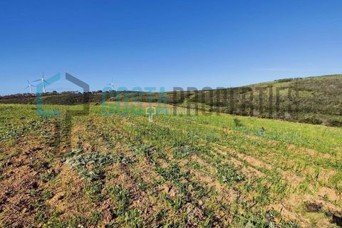 Helårsgrund i Sagres, Faro, Sagres - € 450.000 | Ref: CP-T2206 - foto 10