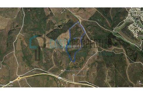 Helårsgrund i Sagres, Faro, Sagres - € 450.000 | Ref: CP-T2206 - foto 21