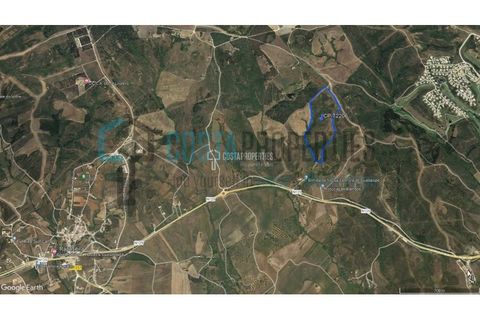 Helårsgrund i Sagres, Faro, Sagres - € 450.000 | Ref: CP-T2206 - foto 22
