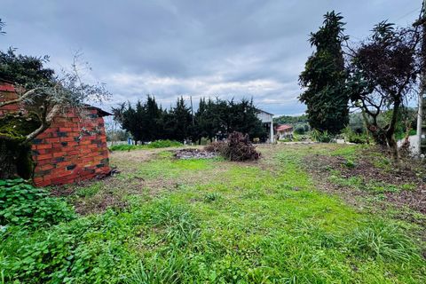 Helårsgrund i Tomar, Santarem, Tomar - € 35.000 | Ref: VCP393 - foto 2