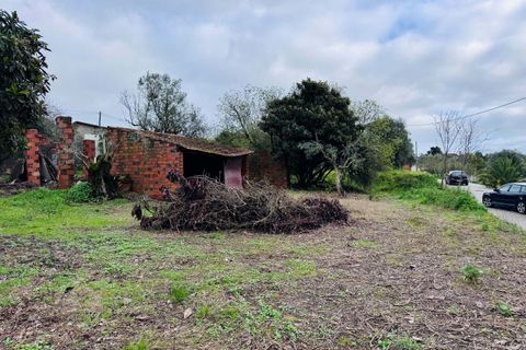 Helårsgrund i Tomar, Santarem, Tomar - € 35.000 | Ref: VCP393 - foto 3