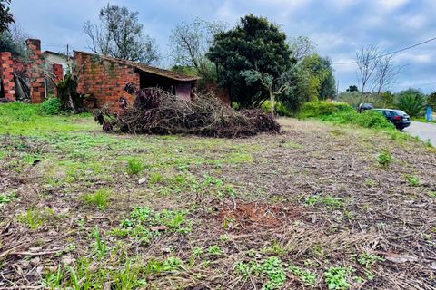 Helårsgrund i Tomar, Santarem, Tomar - € 35.000 | Ref: VCP393 - foto 4