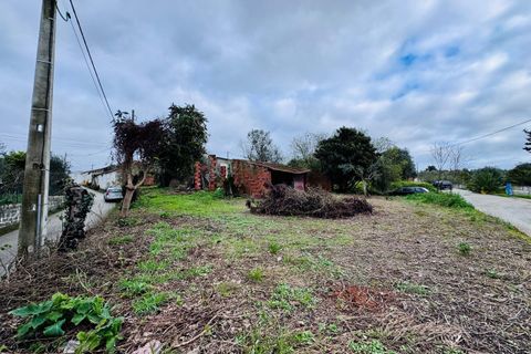 Helårsgrund i Tomar, Santarem, Tomar - € 35.000 | Ref: VCP393 - foto 5