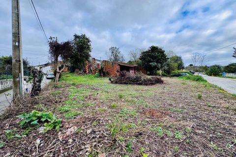 Helårsgrund i Tomar, Santarem, Tomar - € 35.000 | Ref: VCP393 - foto 6