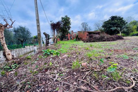 Helårsgrund i Tomar, Santarem, Tomar - € 35.000 | Ref: VCP393 - foto 7
