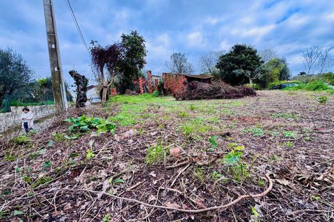 Helårsgrund i Tomar, Santarem, Tomar - € 35.000 | Ref: VCP393 - foto 8