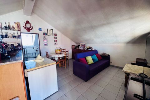 Erhvervsejendom i Riachos, Santarem, Riachos - € 350.000 | Ref: VCP424 - foto 17