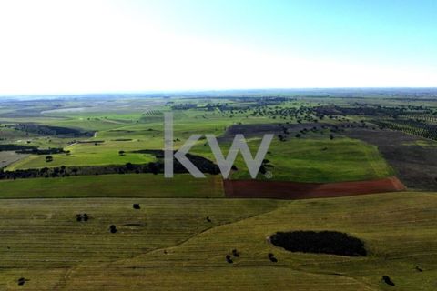Terra a Castro Verde, Beja, Castro Verde - € 460.000 | Ref: KWPT-009281 - foto 10