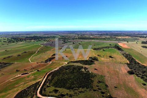 Terra a Castro Verde, Beja, Castro Verde - € 460.000 | Ref: KWPT-009281 - foto 11