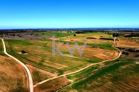 Terra a Castro Verde, Beja, Castro Verde - € 460.000 | Ref: KWPT-009281 - foto 12