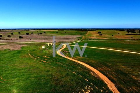 Terra a Castro Verde, Beja, Castro Verde - € 460.000 | Ref: KWPT-009281 - foto 13
