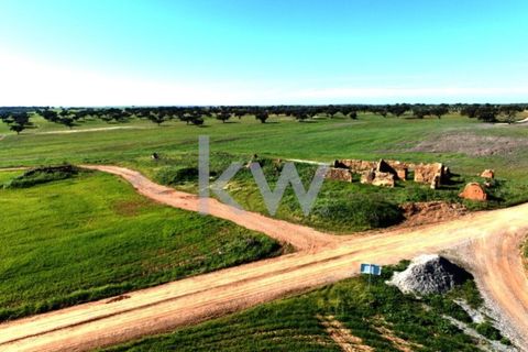 Terra a Castro Verde, Beja, Castro Verde - € 460.000 | Ref: KWPT-009281 - foto 18