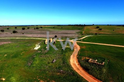 Terra a Castro Verde, Beja, Castro Verde - € 460.000 | Ref: KWPT-009281 - foto 19