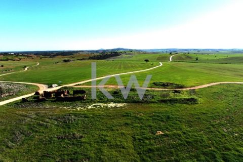 Terra a Castro Verde, Beja, Castro Verde - € 460.000 | Ref: KWPT-009281 - foto 20
