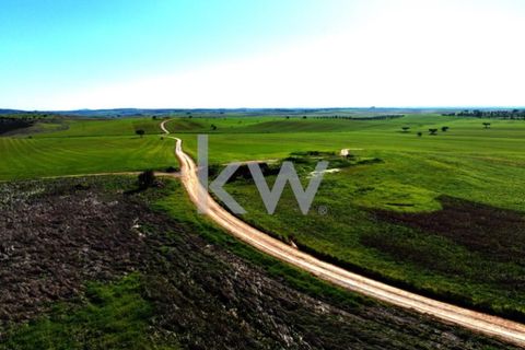 Terra a Castro Verde, Beja, Castro Verde - € 460.000 | Ref: KWPT-009281 - foto 21