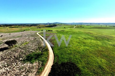 Terra a Castro Verde, Beja, Castro Verde - € 460.000 | Ref: KWPT-009281 - foto 23