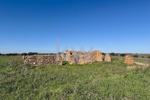 Terra a Castro Verde, Beja, Castro Verde - € 460.000 | Ref: KWPT-009281 - foto 24