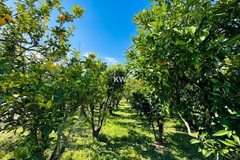 Villa i Alenquer, Lisbon, Alenquer - € 700.000 | Ref: KWPT-000642 - foto 15