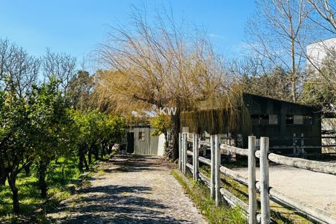 Villa i Alenquer, Lisbon, Alenquer - € 700.000 | Ref: KWPT-000642 - foto 18