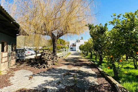 Villa i Alenquer, Lisbon, Alenquer - € 700.000 | Ref: KWPT-000642 - foto 19