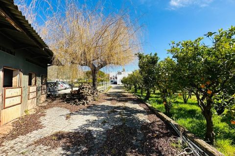 Villa i Alenquer, Lisbon, Alenquer - € 700.000 | Ref: KWPT-000642 - foto 20