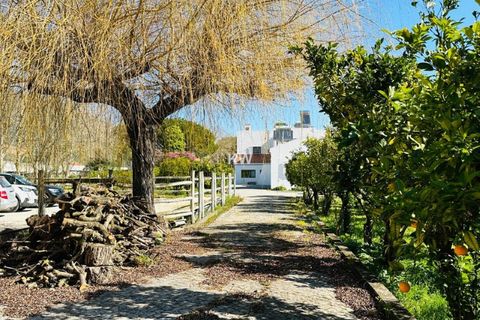 Villa i Alenquer, Lisbon, Alenquer - € 700.000 | Ref: KWPT-000642 - foto 22