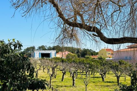 Villa i Alenquer, Lisbon, Alenquer - € 700.000 | Ref: KWPT-000642 - foto 33