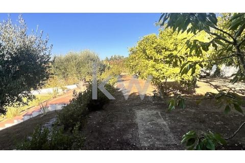 Villa i Quinta do Anjo, Setubal, Quinta do Anjo - € 960.000 | Ref: KWPT-003546 - foto 26