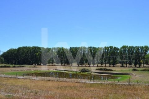 Farm i Boidobra, Castelo Branco, Boidobra - € 1.150.000 | Ref: 1217-3069 - foto 1