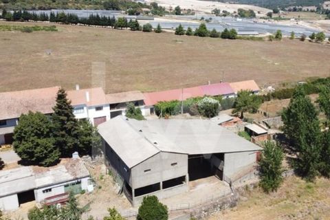 Farm i Boidobra, Castelo Branco, Boidobra - € 1.150.000 | Ref: 1217-3069 - foto 2