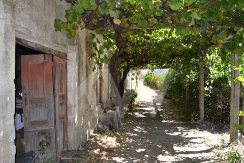 Farm i Boidobra, Castelo Branco, Boidobra - € 1.150.000 | Ref: 1217-3069 - foto 4