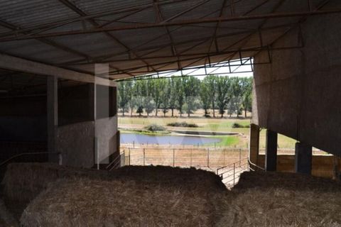 Farm i Boidobra, Castelo Branco, Boidobra - € 1.150.000 | Ref: 1217-3069 - foto 5