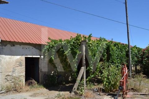 Farm i Boidobra, Castelo Branco, Boidobra - € 1.150.000 | Ref: 1217-3069 - foto 8