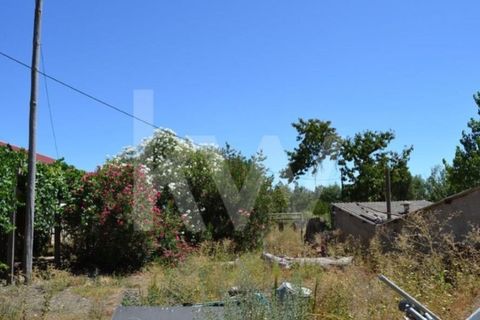 Farm i Boidobra, Castelo Branco, Boidobra - € 1.150.000 | Ref: 1217-3069 - foto 9