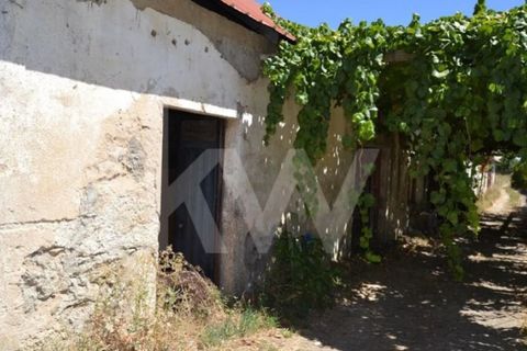 Farm i Boidobra, Castelo Branco, Boidobra - € 1.150.000 | Ref: 1217-3069 - foto 10