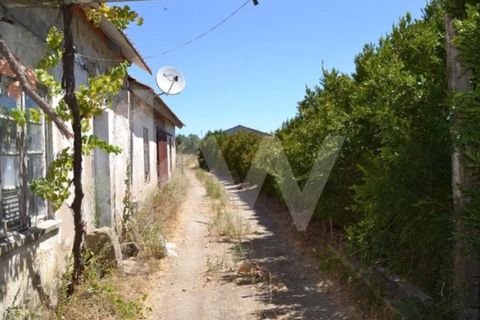 Farm i Boidobra, Castelo Branco, Boidobra - € 1.150.000 | Ref: 1217-3069 - foto 13