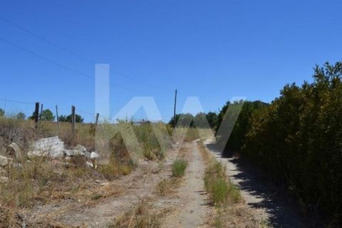 Farm i Boidobra, Castelo Branco, Boidobra - € 1.150.000 | Ref: 1217-3069 - foto 14