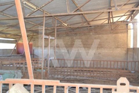 Farm i Boidobra, Castelo Branco, Boidobra - € 1.150.000 | Ref: 1217-3069 - foto 15