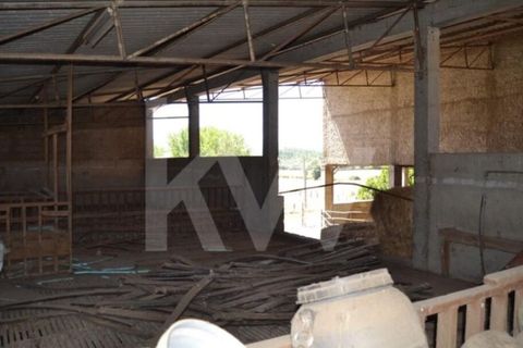 Farm i Boidobra, Castelo Branco, Boidobra - € 1.150.000 | Ref: 1217-3069 - foto 16
