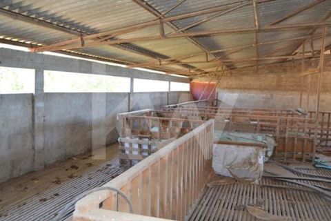 Farm i Boidobra, Castelo Branco, Boidobra - € 1.150.000 | Ref: 1217-3069 - foto 17