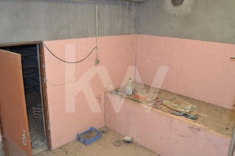 Farm i Boidobra, Castelo Branco, Boidobra - € 1.150.000 | Ref: 1217-3069 - foto 18